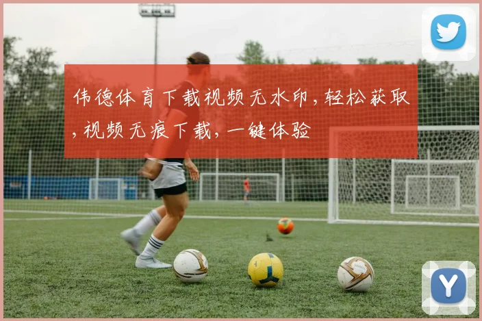 伟德体育下载视频无水印,轻松获取,视频无痕下载,一键体验