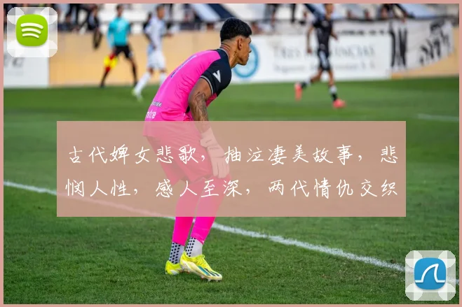 古代婢女悲歌，抽泣凄美故事，悲悯人性，感人至深，两代情仇交织
