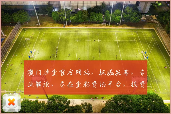 澳门沙金官方网站，权威发布，专业解读，尽在金彩资讯平台，投资必看